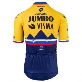 Maillot 2021 Team Jumbo–Visma N002